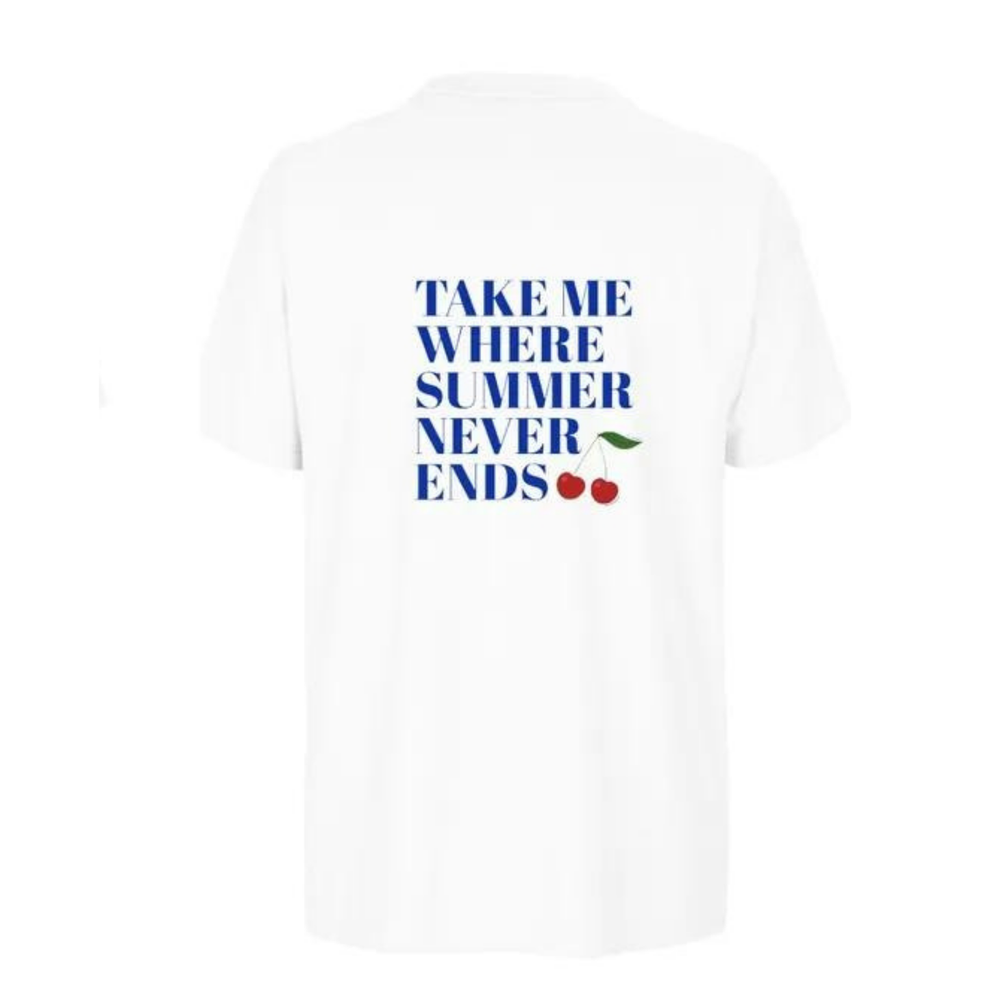 Take me where summer never ends t-shirt